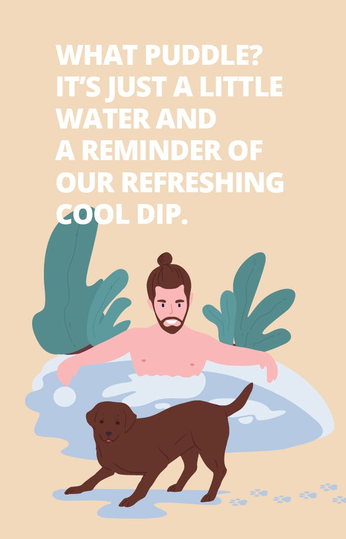 A reminder of our refreshing cool dip