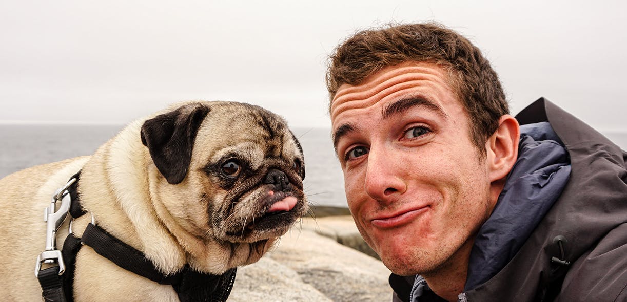 You and your dog look more alike than you think