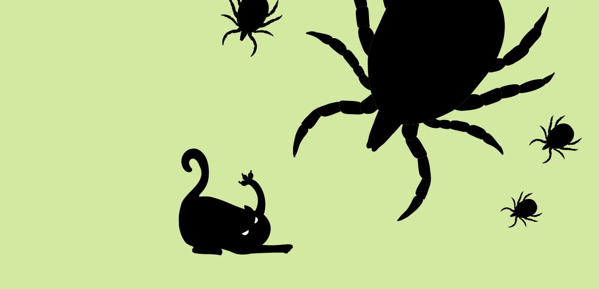 SOS: A tick wants to eat my cat!