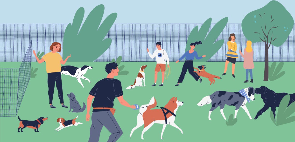 The short guide of dog park etiquette