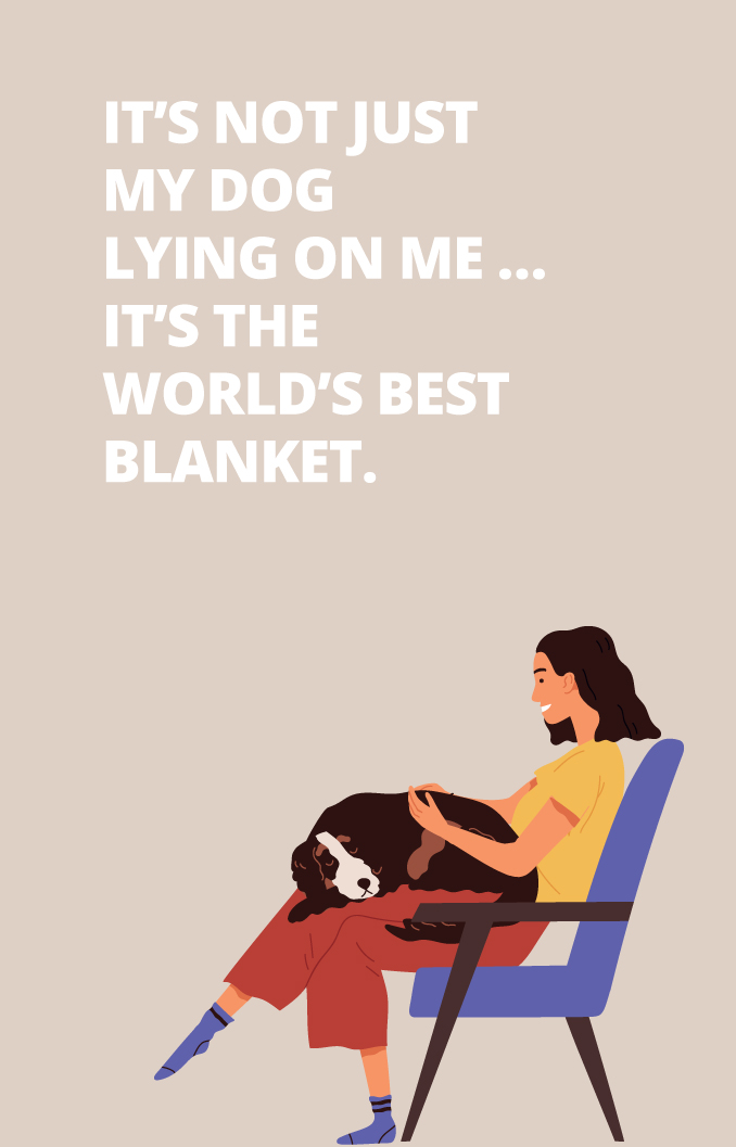 The world’s best blanket