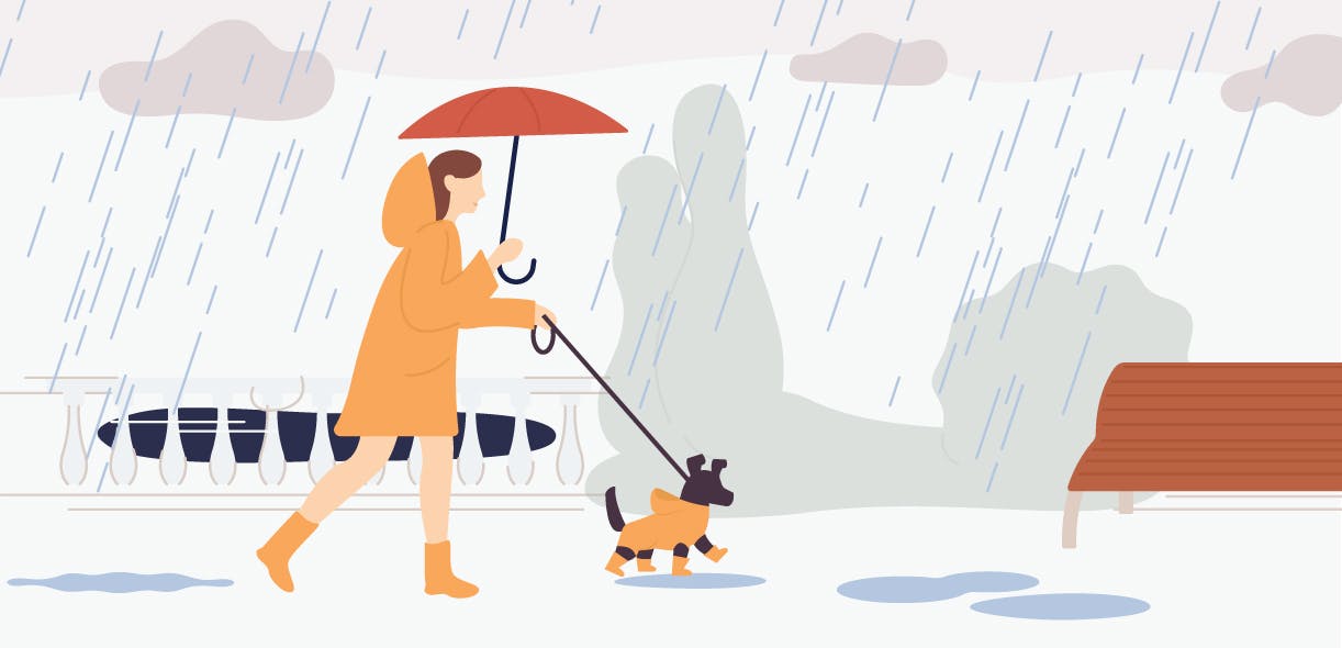 Your survival kit for walking in the rain with your dog