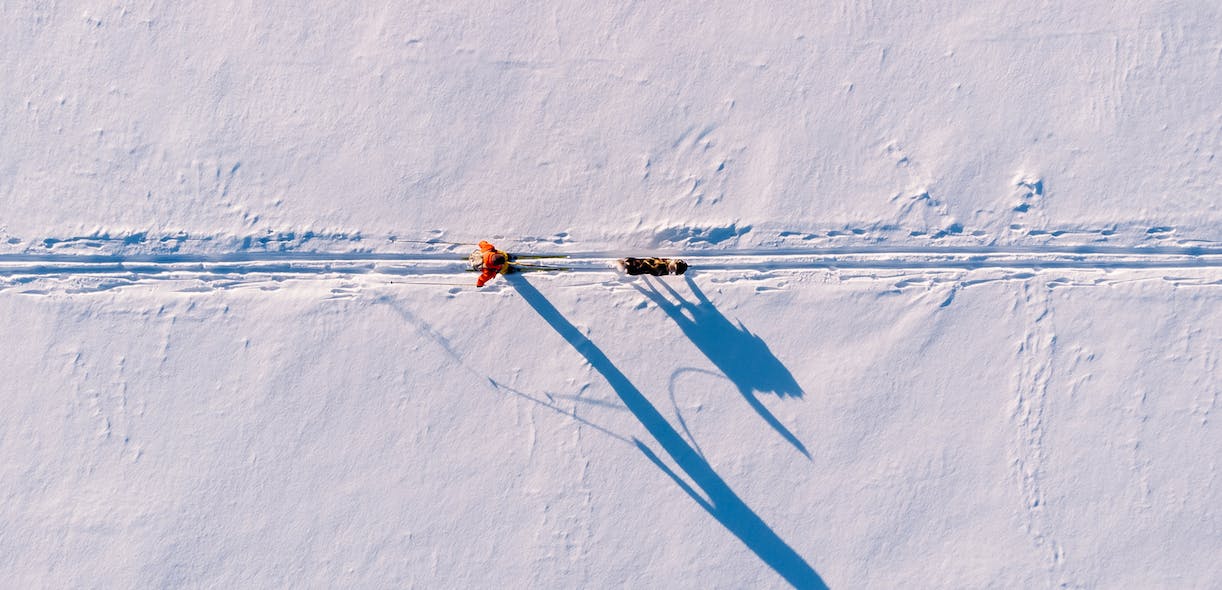 Le ski attelé: lorsque skis et chien font la pair