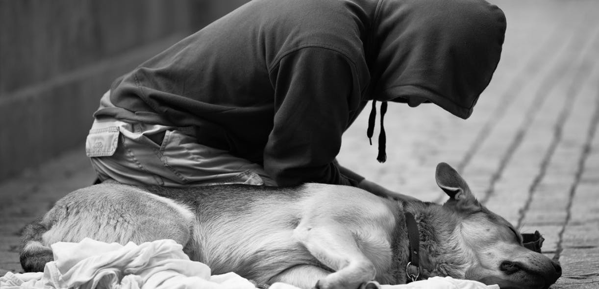 The beneficial bond between homeless people and their dogs