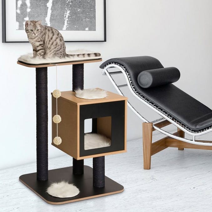 The cat tree with a sense of design