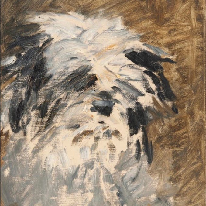 Pooch portrait by Manet exhibited for the first time