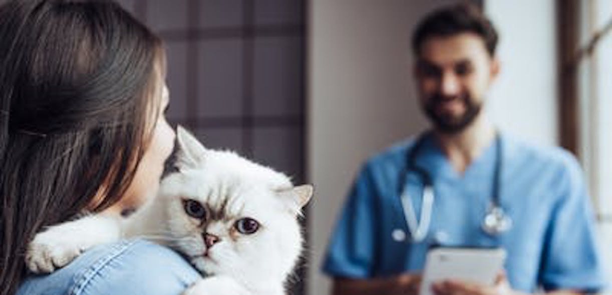 The do’s and don’ts of taking your pet to the vet during coronavirus