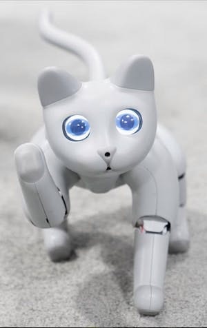 MarsCat: The futuristic feline robot