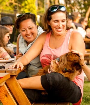 Drinks, friends, dogs and good times at Montreal’s St-Ambroise Terrasse