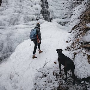 8 winter activities to share with your dog