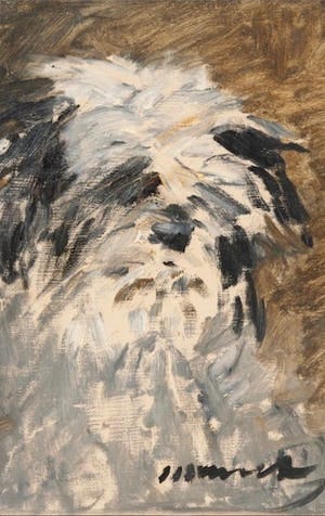 Pooch portrait by Manet exhibited for the first time