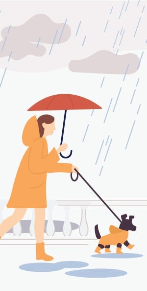 Kit de survie pour promenades sous la pluie