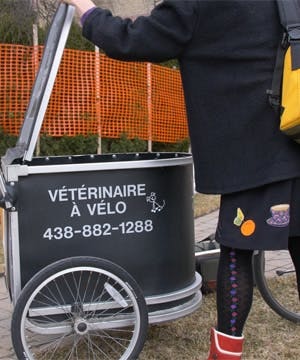 The bicycle-based veterinarian