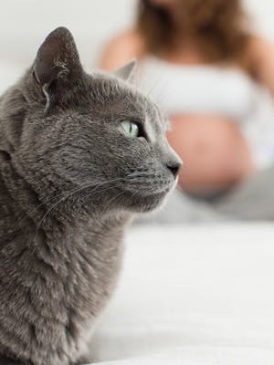 Furry pets may impact our physical health