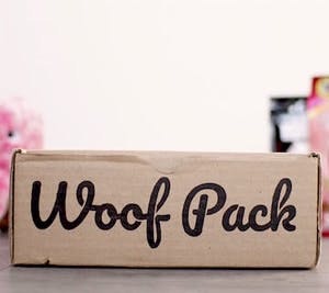 Woof Pack : la boîte mensuelle pour chien