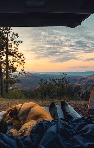 4 tips for happy camping with your dog