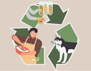 How to shrink your animal’s environmental footprint