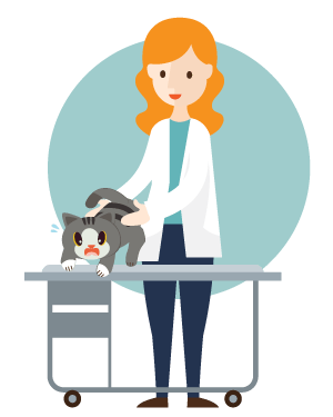 Tips to help reduce my cat’s stress at the veterinary clinic
