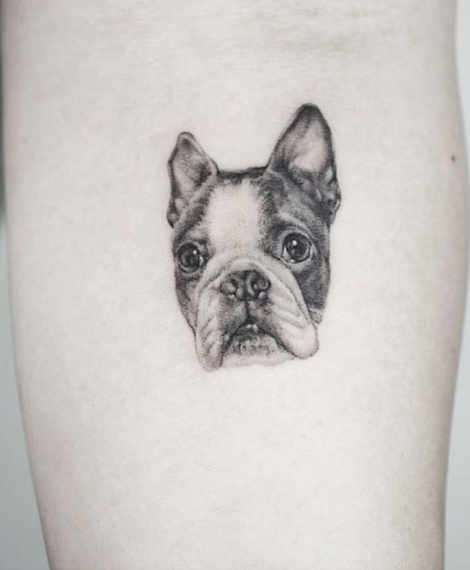 French Bulldog Tattoo Outline Style by noranink  Tattoogridnet
