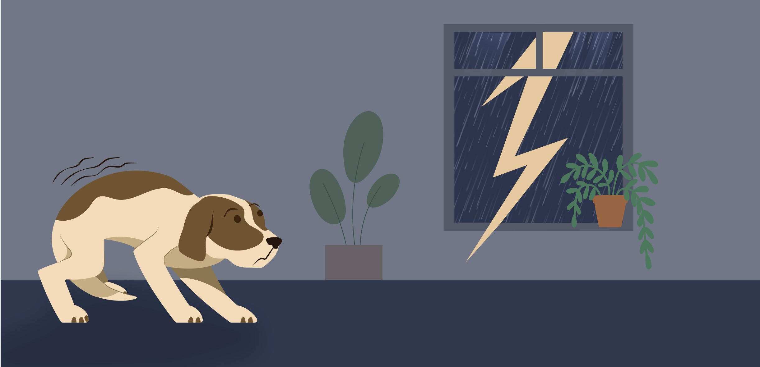 Storms and fireworks: Soothing your animal’s fears