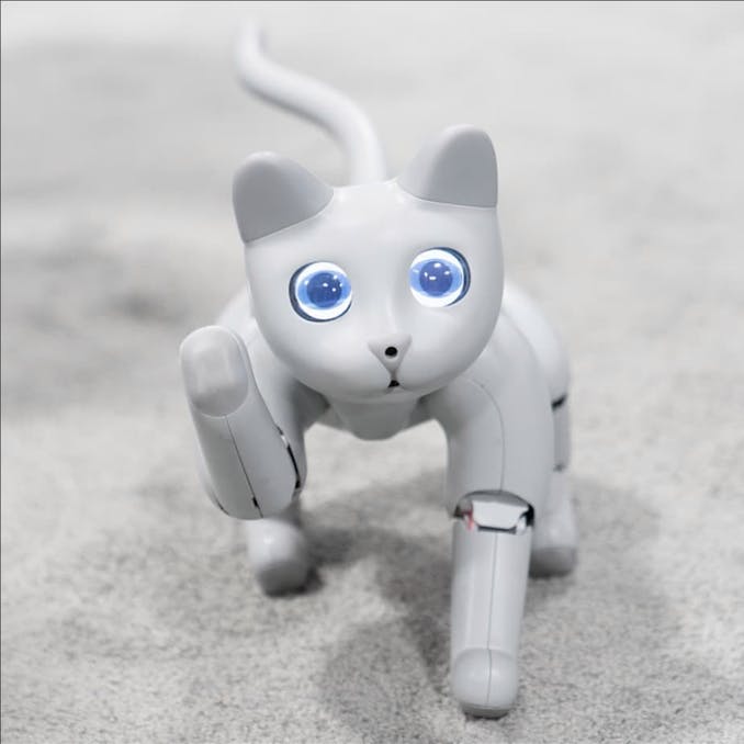 MarsCat: le robot félin futuriste